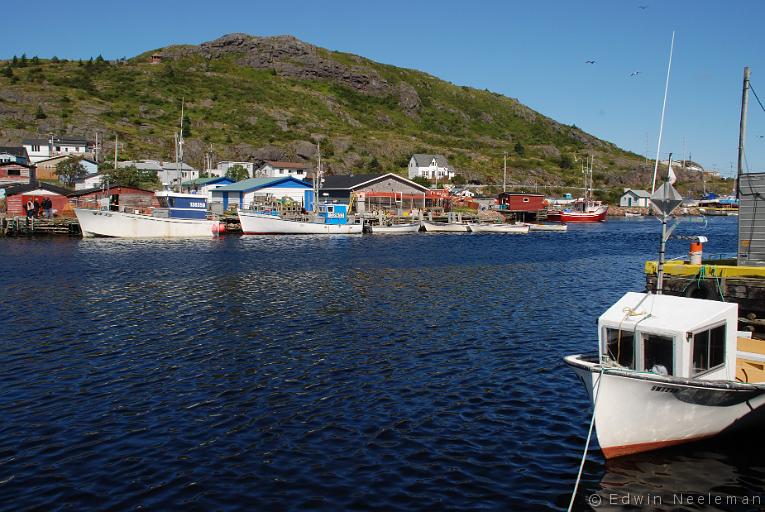 ENE-20080911-0075.jpg - Petty Harbour